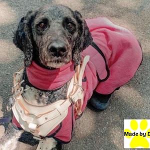 May include: A black and white dog wearing a pink fleece coat and a white leather harness. The dog is looking at the camera. The text "Made by De" is visible in the lower right corner of the image.