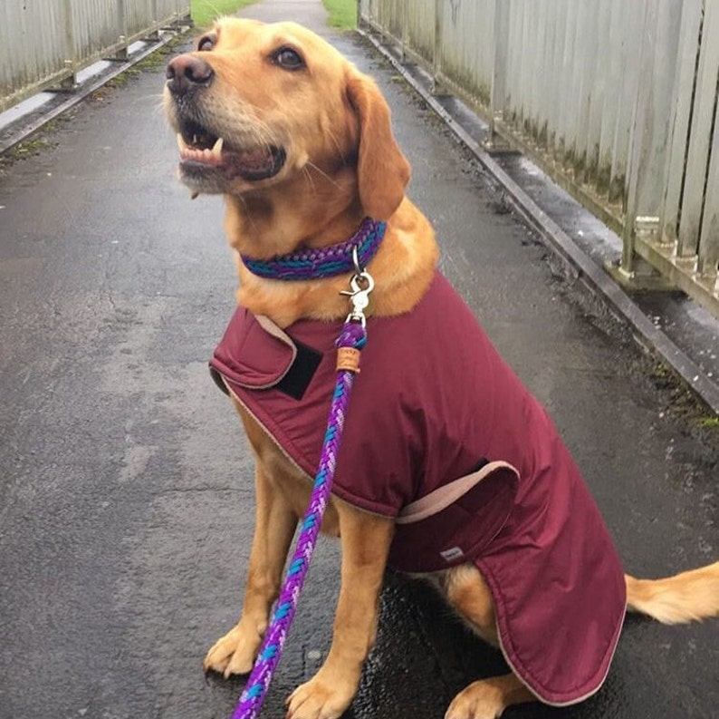 Dog Raincoat Ultra Dog Raincoat Custom Dog Coat Lightweight Etsy