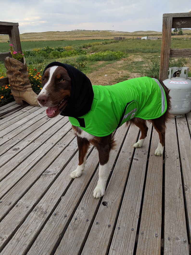 Winter Dog Coat the Ultra Dog Coat Custom Dog Coat Ultrex Etsy