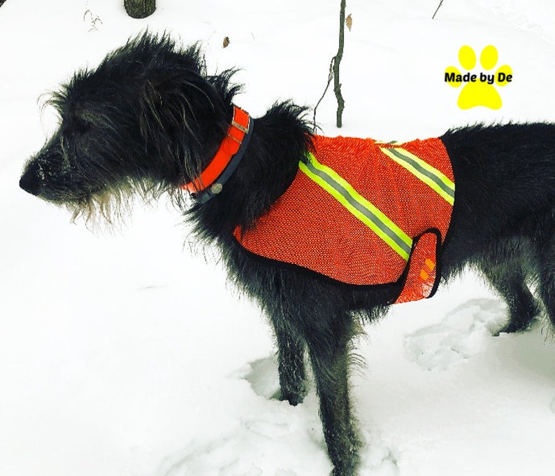 Dog Safety Vest, mesh dog vest, reflective dog vest, high visibility dog vest, custom dog vest, safety vest custom made for any dog image 1