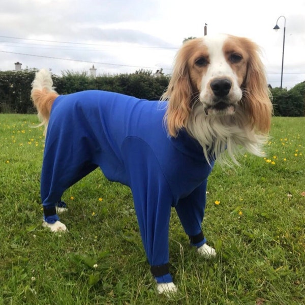 Dog fur protector suit, custom dog body suit, spandura dog suit, dog show gear, suit for long-haired dogs, dog grooming pajamas