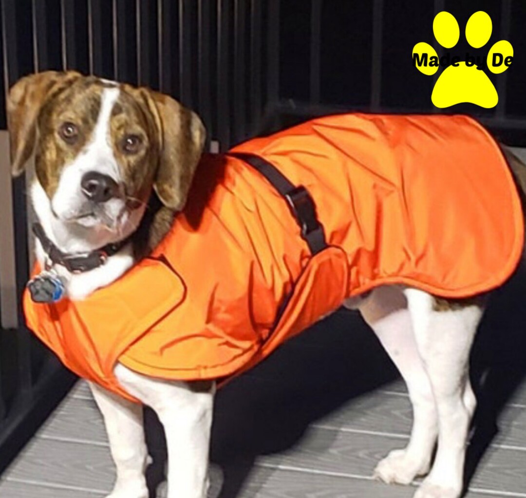 Winter Dog Coat, Ultra Custom Dog Coat With Tummy Panel, Waterproof Dog
