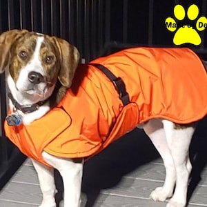 Winter Dog Coat, Ultra Custom Dog Coat with tummy panel, waterproof dog coat, cargo buckle closure, warm dog coat, custom dog jacket