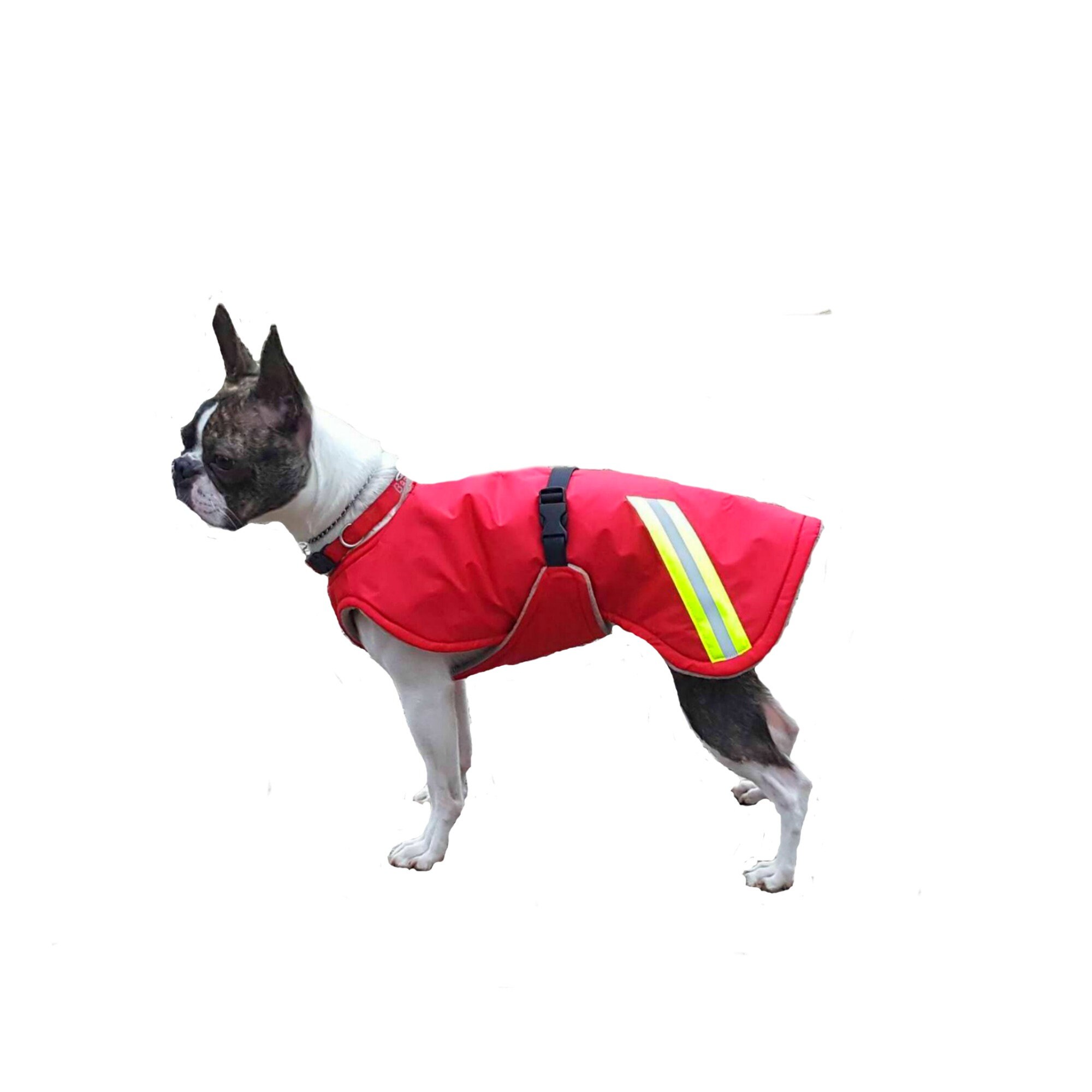 Winter Dog Coat custom dog coat dog coat made with tummy Etsy