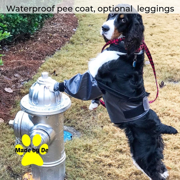 Dog waterproof pee coat with leggings, Male dog pee protector, Dog grooming gear, Show dog gear, Custom dog clothing