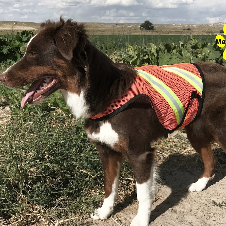 Dog Safety Vest, mesh dog vest, reflective dog vest, high visibility dog vest, custom dog vest, safety vest custom made for any dog image 4