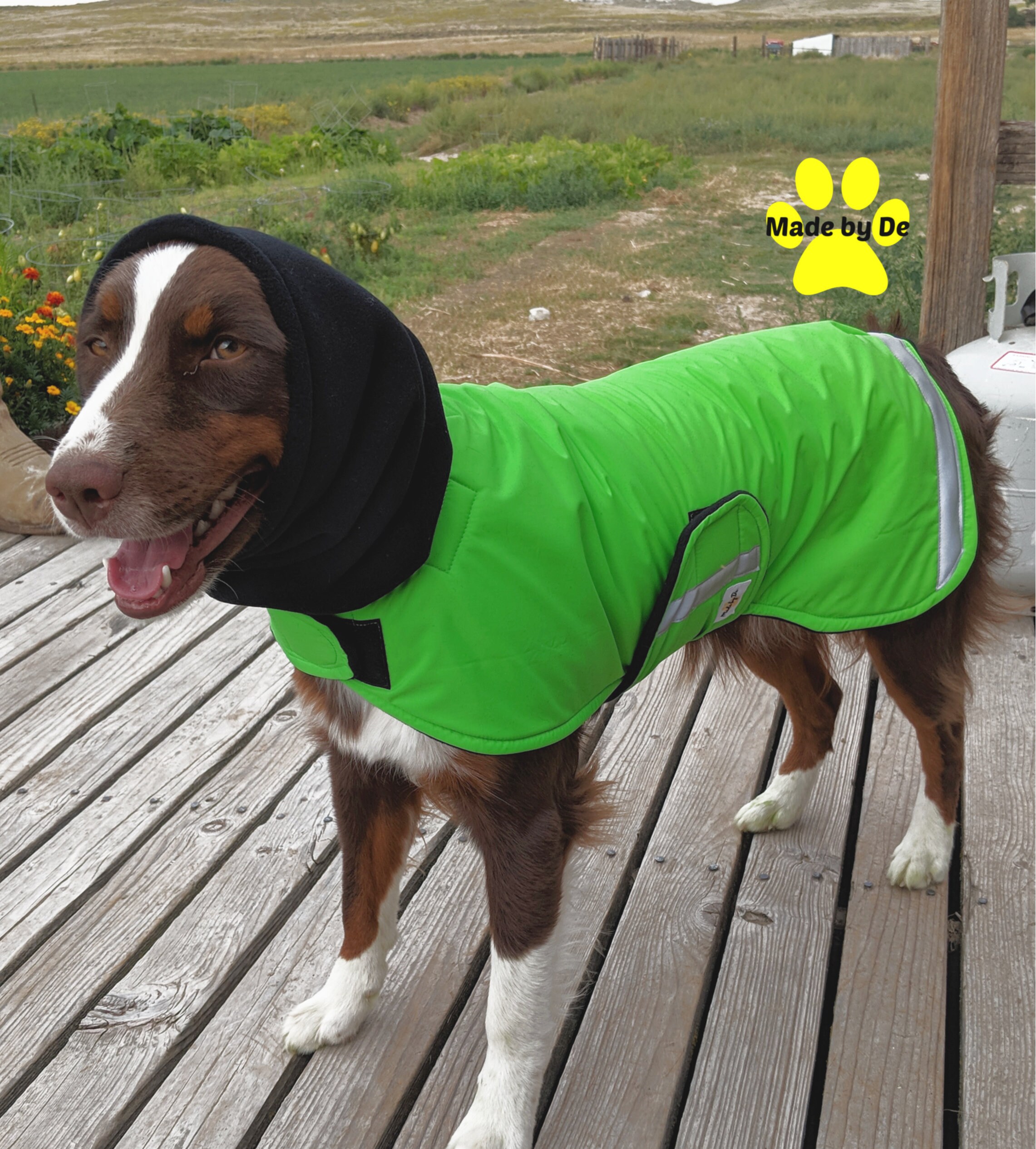 custom winter dog coats