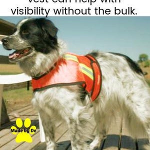 Reflective mesh dog vest on black and white dog