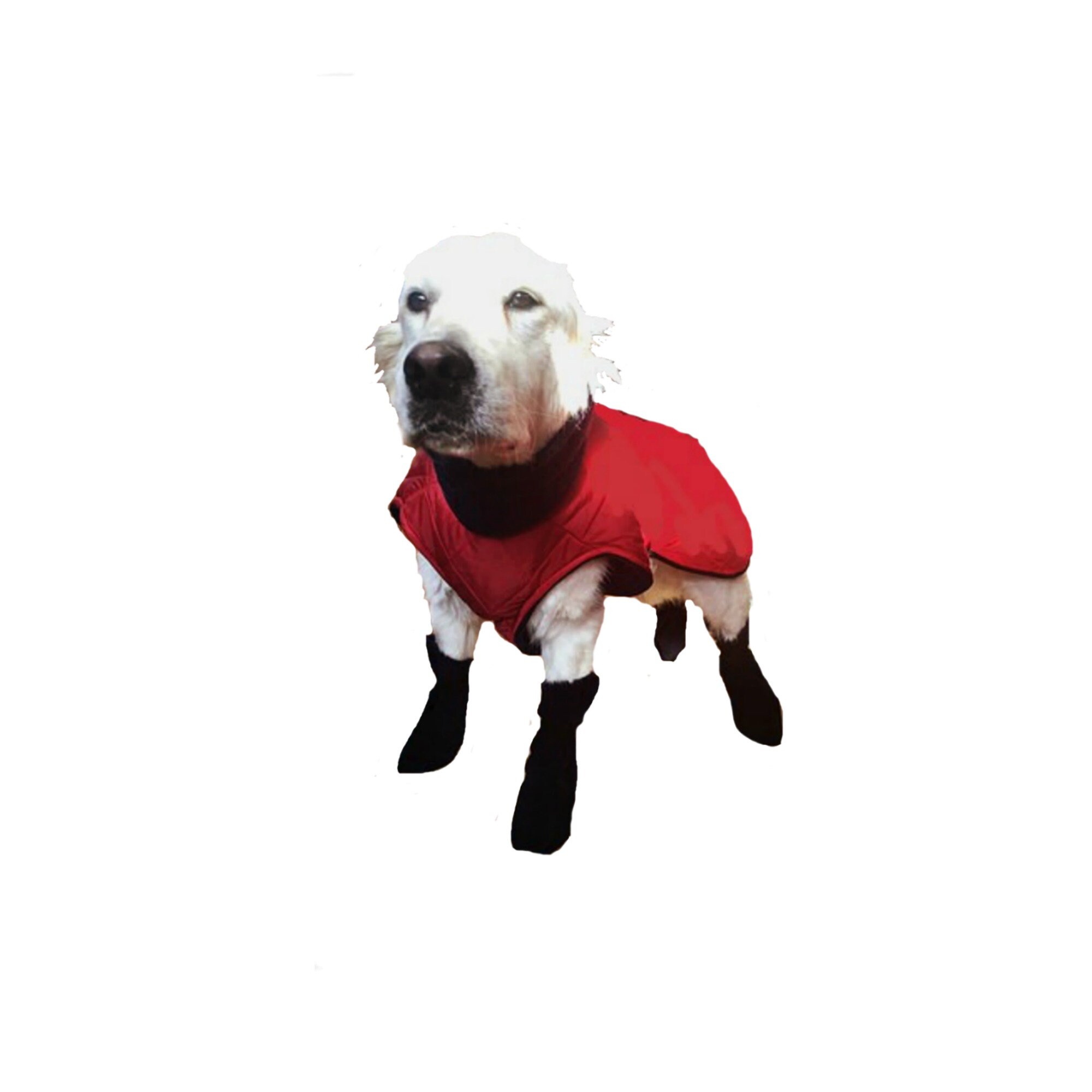 Dog Boots Fleece Dog Boots Custom Dog Booties Paw Etsy