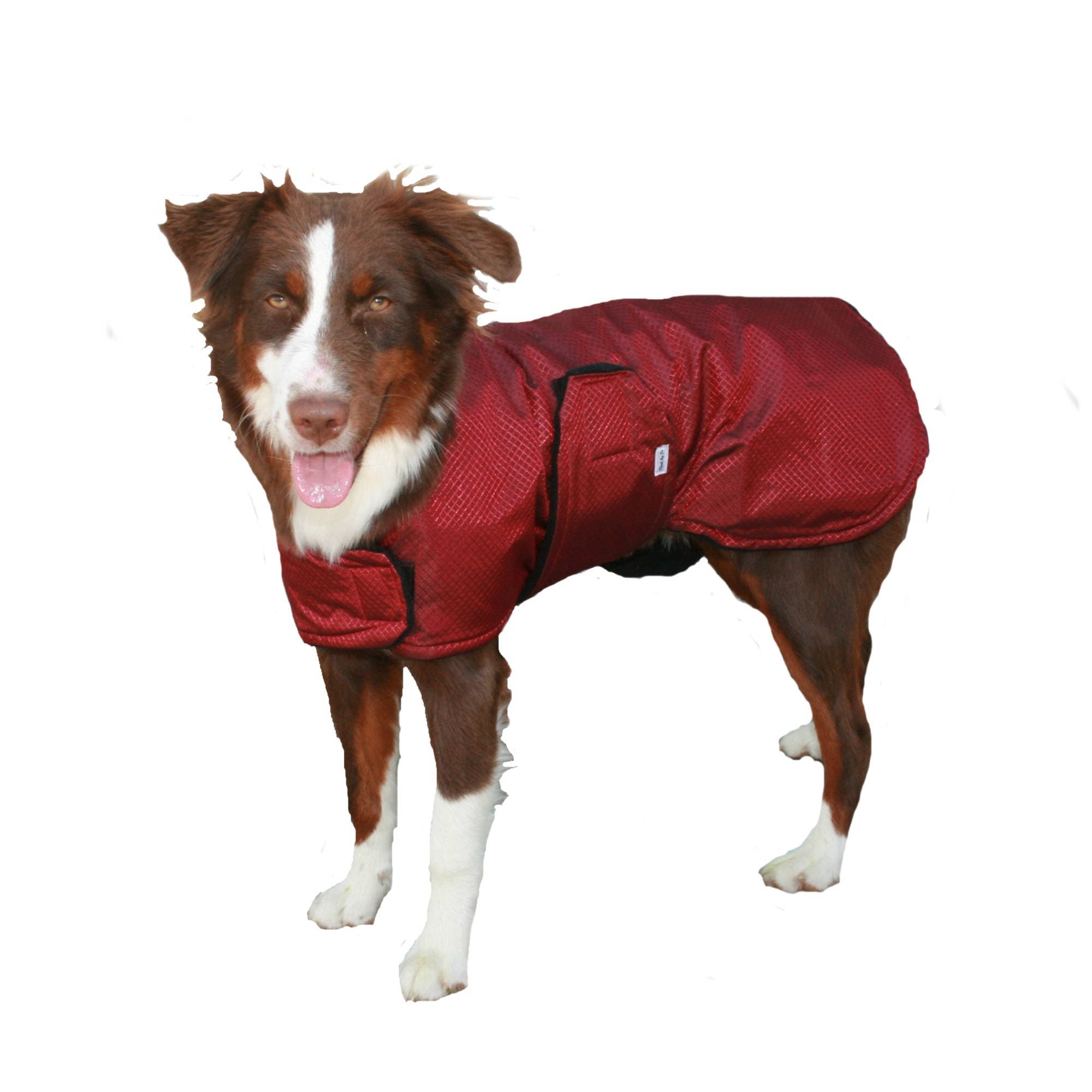 Extreme Winter Dog Coat custom dog coat tough dog coat