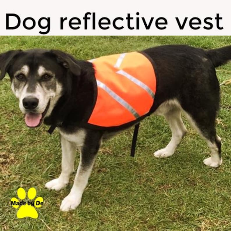 Reflective dog vest on large black dog