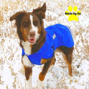 Winter Dog Coat, Ultra Custom Dog Coat with tummy panel, waterproof dog coat, hook and loop closure, warm dog coat, custom dog jacket
