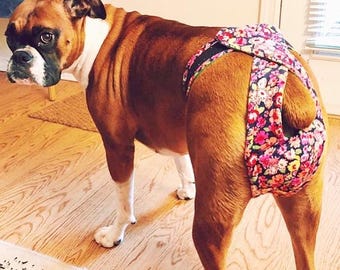 3&quot; Dog Diapers, ready made, next day shipping, XS dog diapers, athletic dog britches, adjustable dog panties, washable dog diapers