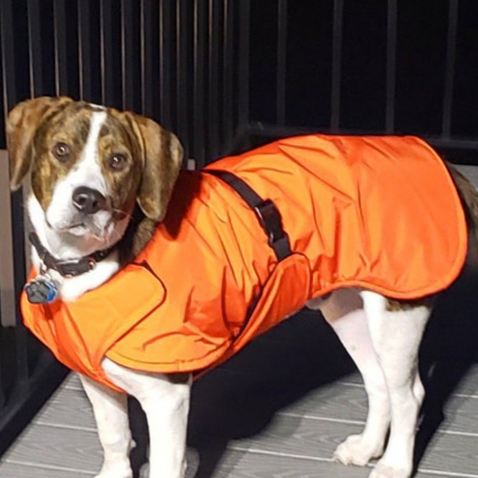 Winter Dog Coat the Ultra Plus Custom Dog Coat With Tummy Etsy