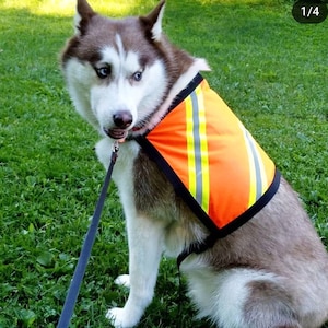 Dog Safety Vest, mesh dog vest, reflective dog vest, high visibility dog vest, custom dog vest, safety vest custom made for any dog image 3