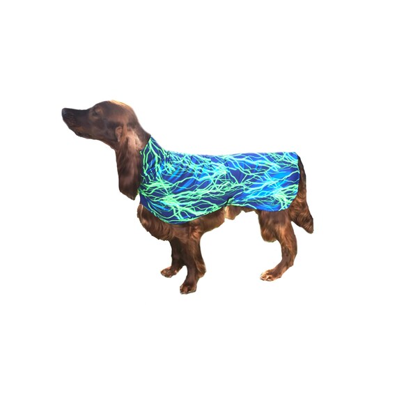 Dog Drying Coat dog slinkie dog grooming coat dog coat Etsy