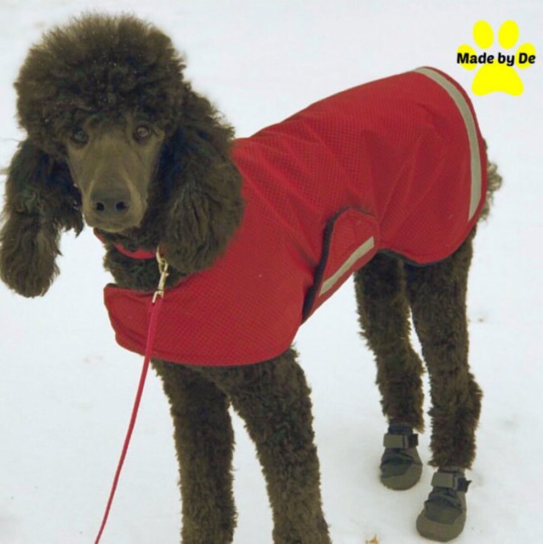 Winter Dog Coat, Extreme, Custom Dog Coat, Tough Dog Coat With