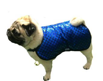 Dog Cool Coat, designer dog cool coat, custom dog cool coat, dog cooler with fashion trim, fancy dog cool coat with spandex