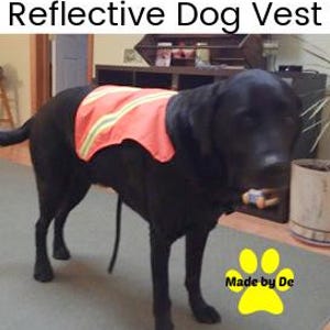 Reflective safety vest on lab