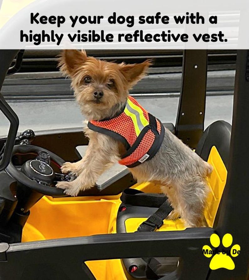 Terrier in mesh high visibility vest with adjustable closure