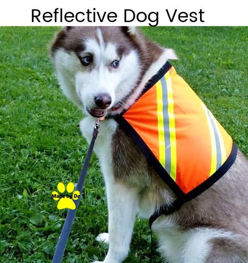 High visibility on Husky