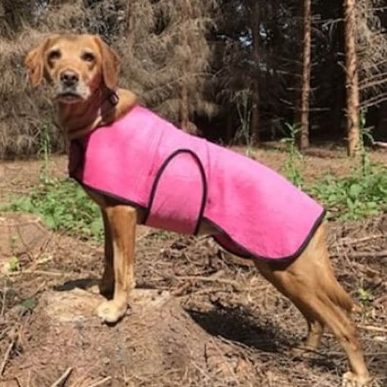 Dog Cool Coat Chiller Cool Coat Custom Dog Cooling Coat Dog Etsy