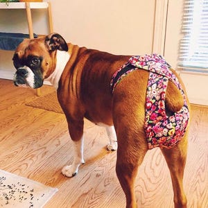 5&quot; Dog Diapers, ready made, next day shipping, small breed dog diapers, athletic dog britches, adjustable dog panties, washable dog diapers