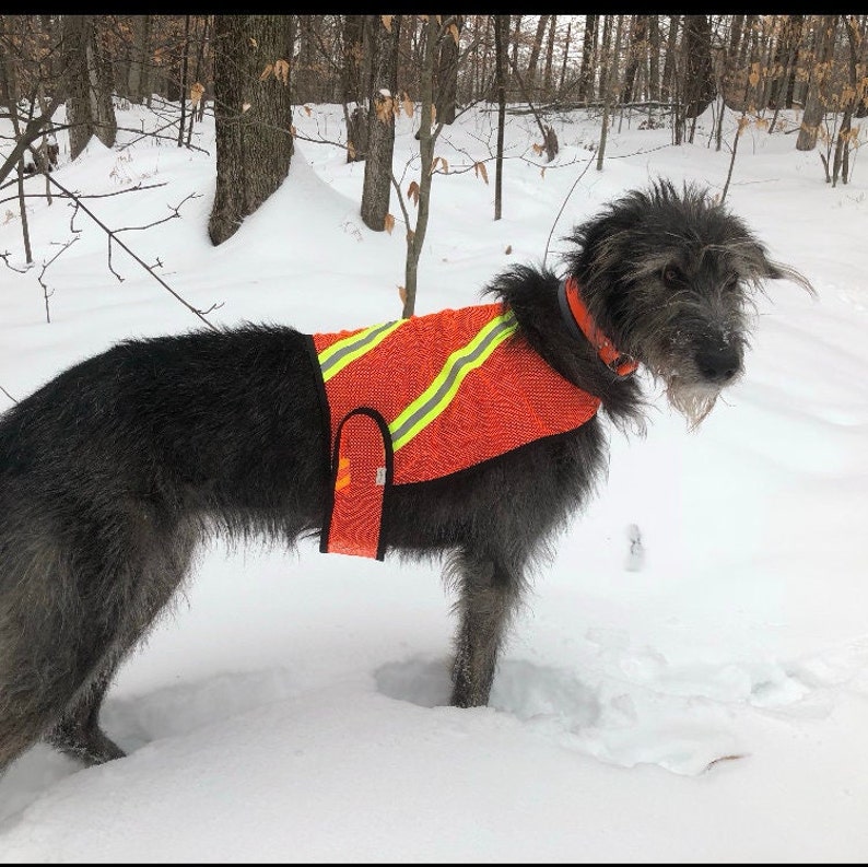 Dog Safety Vest, mesh dog vest, reflective dog vest, high visibility dog vest, custom dog vest, safety vest custom made for any dog image 6