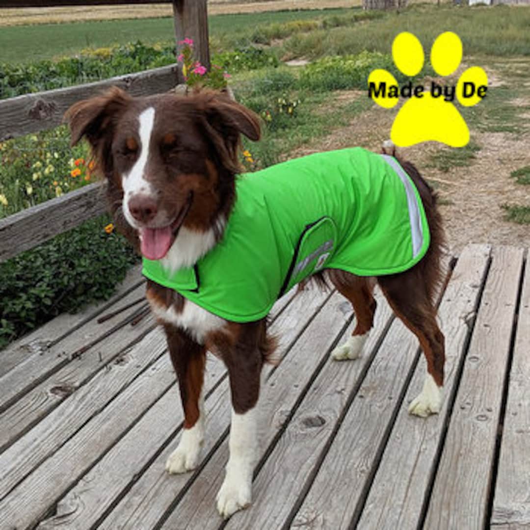 Winter Dog Coat, Ultra Custom Dog Coat With Reflective Strips, Custom