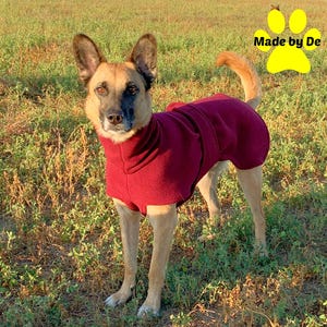 Custom Fleece Dog Coat, Turtleneck, Tummy Warmer