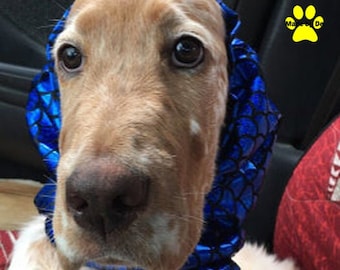 Dog Snood, custom grooming snood, spandex ear covering