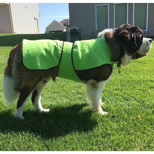 Dog Cool Coat Chiller Plus Cool Coat Custom Dog Cooler Dog Etsy UK