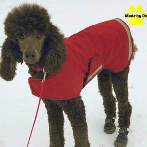 Custom Winter Dog Coat, Extreme Protection, Waterproof, Fleece-lined, Turtleneck/Snood, Reflective