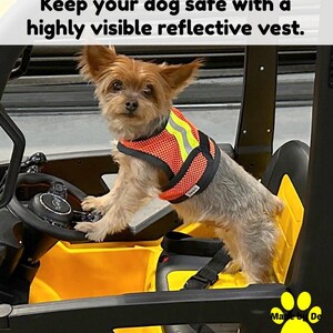 Terrier standing in skidster wearing orange dog safety vest