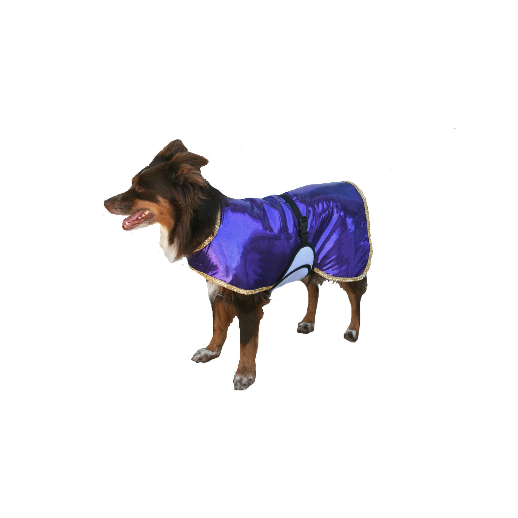 Dog Cool Coat Blingy Dog Cool Coat custom dog cool coat dog Etsy