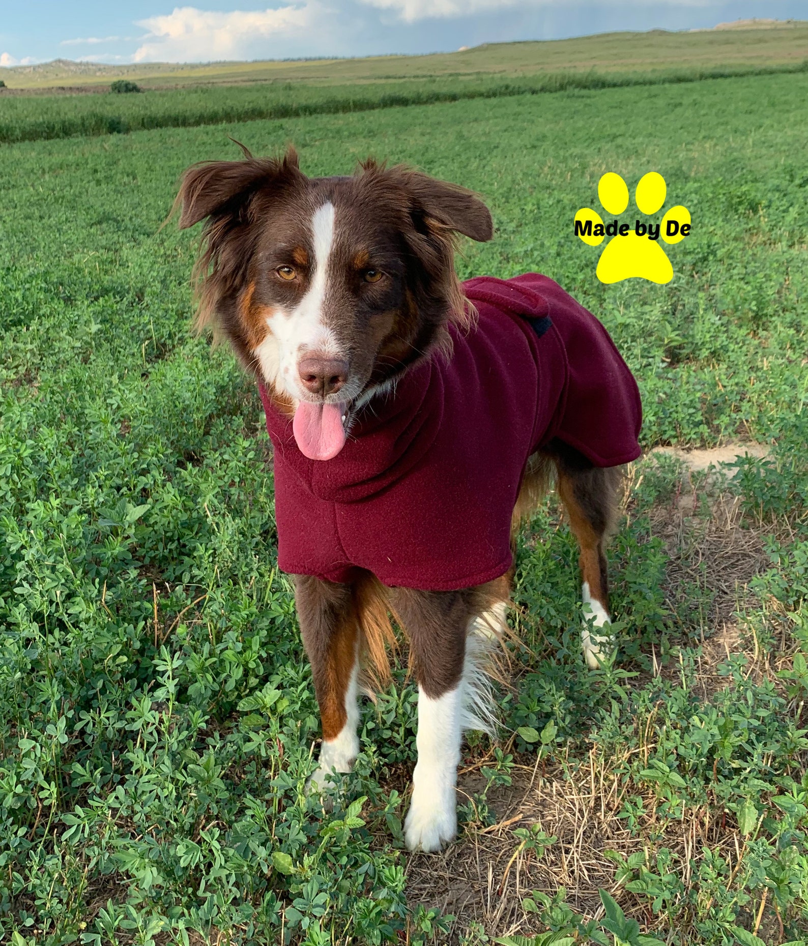 Fleece Dog Coat Ultra fleece dog jacket custom dog coat Etsy