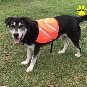 Dog Safety Vest, custom dog vest, reflective dog vest, high visibility dog vest