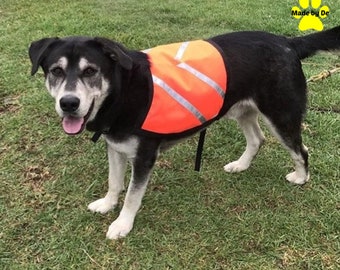Custom Dog Safety Vest: High Visibility Reflective Orange Nylon with Buckle Closure