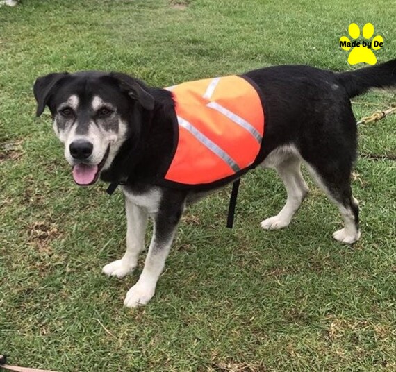 Custom Dog Safety Vest: High Visibility Reflective Orange Nylon with Buckle Closure