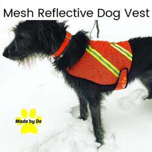 Irish Wolfhound wearing mesh reflective vest standing in snow