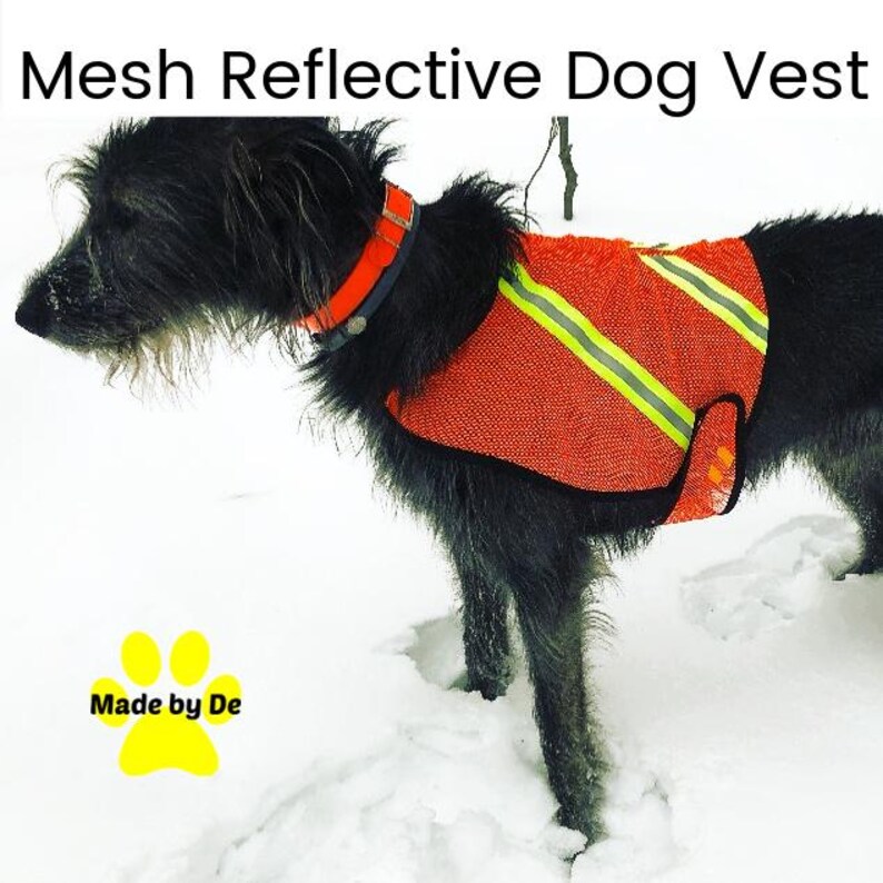 Irish Wolfhound wearing mesh reflective vest standing in snow