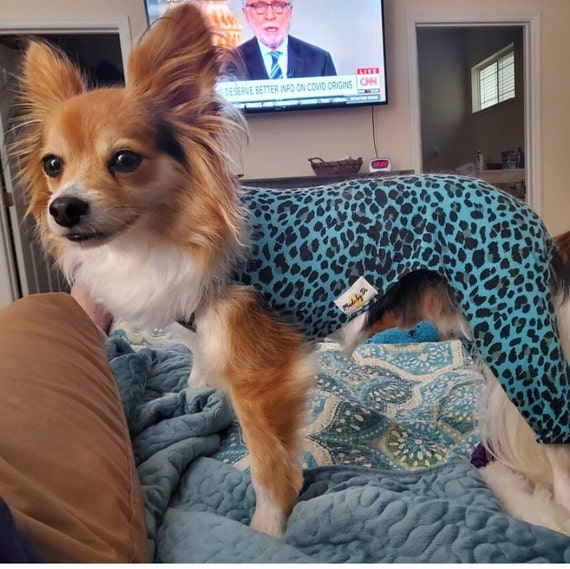 Dog Jumper Custom Dog Body Suit Dog Grooming Suit Made of