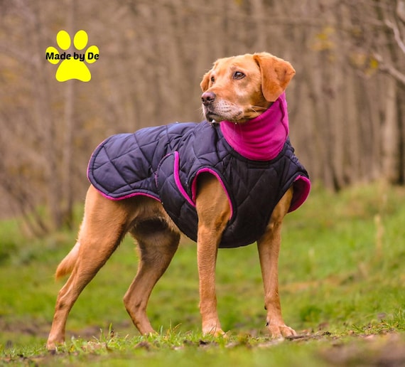 Custom dog coat hotsell