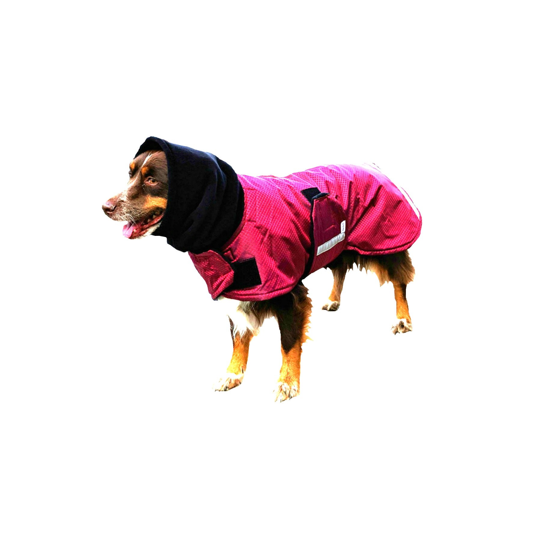 Extreme Winter Dog Coat Tough dog coat custom dog coat Etsy