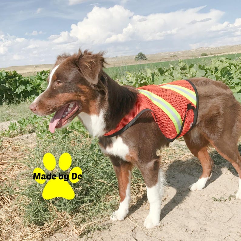 Dog safety vest, lightweight bright orange mesh with reflective strips, custom fitted
