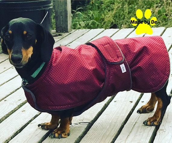 durable dog coats