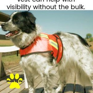 High visibility mesh dog vest on black and white dog