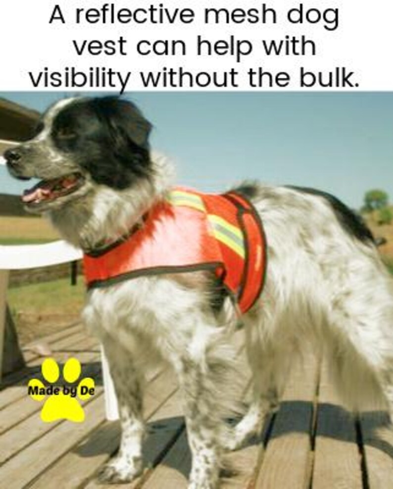 High visibility mesh dog vest on black and white dog