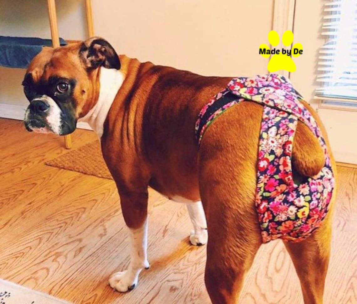 Great Fit Dog Diapers Bitch Britches Athletic Dog Britches Etsy