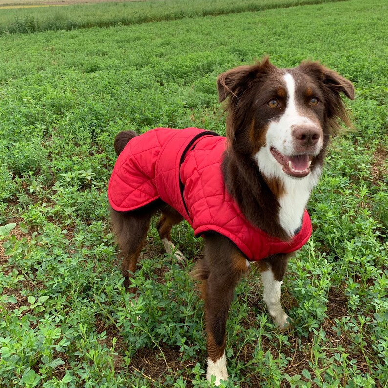 Winter Dog Coat Black Quilted Dog Coat With Turtleneck Etsy